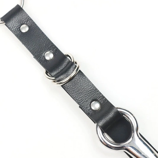 Kinky Anal 5853 and with Hook EverydayUse Leash Collar 0327